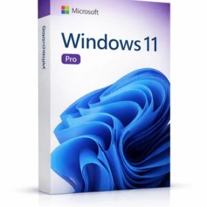 Microsoft Windows 11 Pro License Key